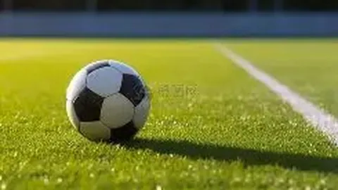 蒂亚戈引领布伦特福德前锋狂飙，领跑英超11月最佳球员榜单！