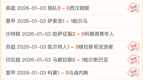 库巴因荷兰赛事中右腿后部剧痛离场，向队医详细说明伤势